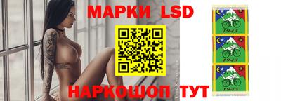 индика Обнинск