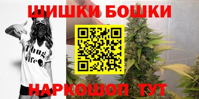 индика Обнинск