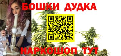 индика Обнинск