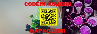 индика Обнинск