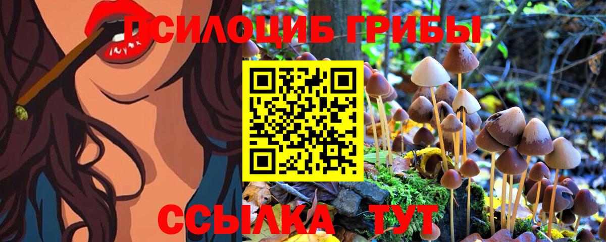 Галлюциногенные грибы прущие грибы Урус-Мартан