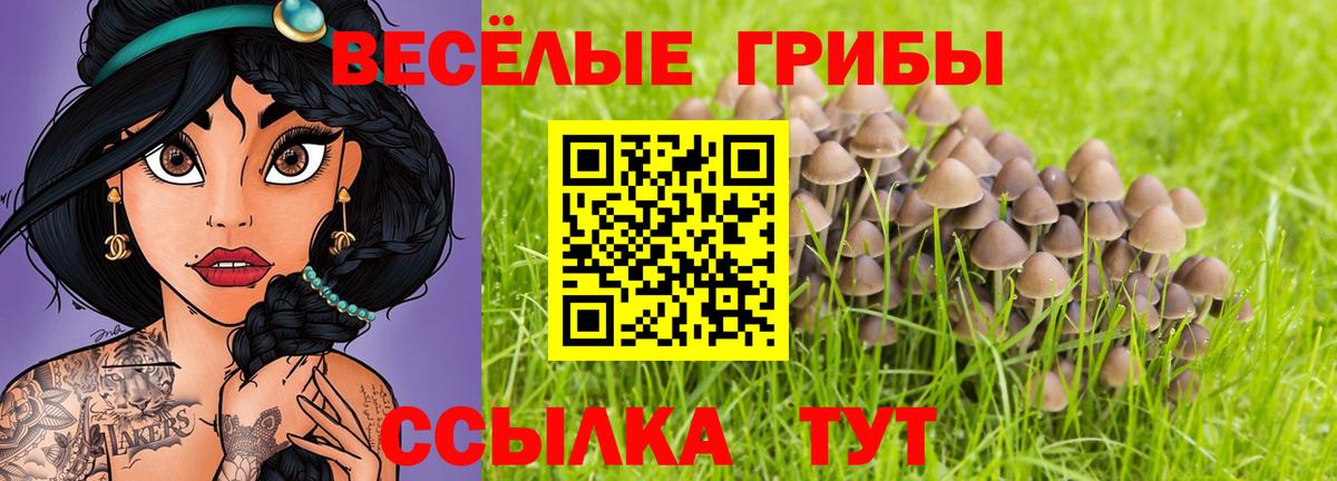 Псилоцибиновые грибы ЛСД  Вход с VPN  Урус-Мартан 